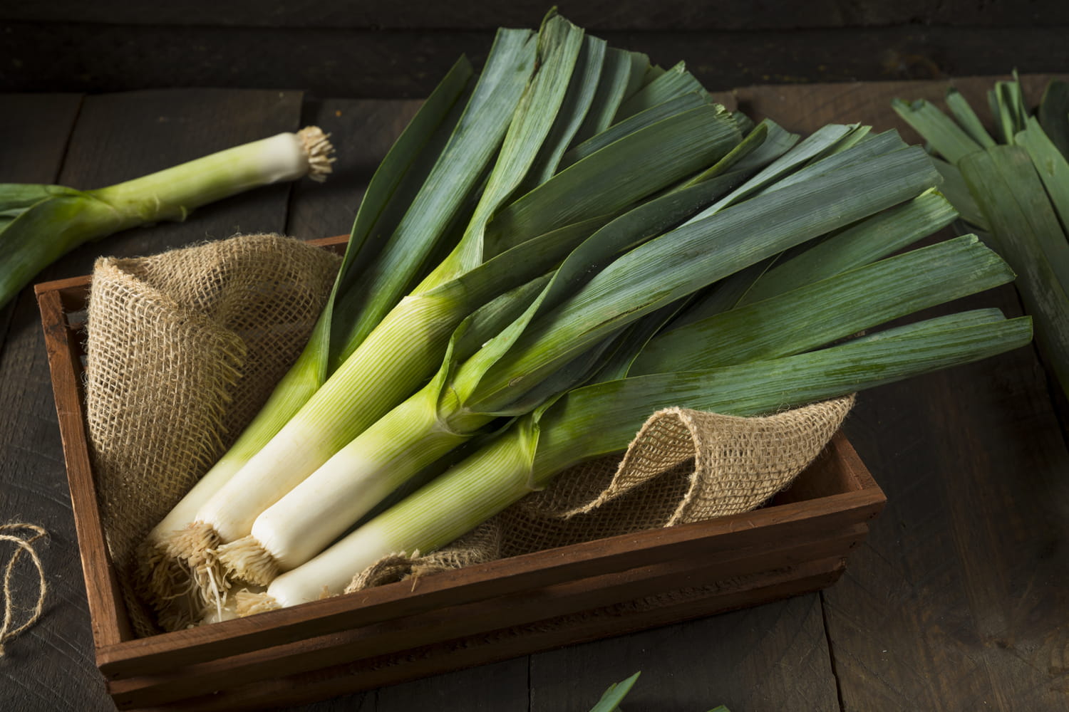 bienfaits du poireau legume hiver